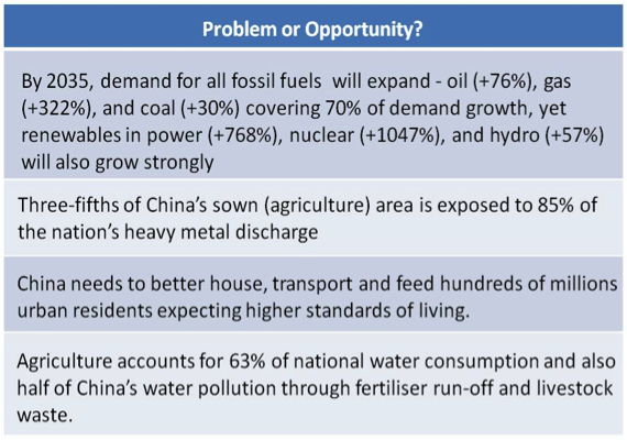Consumption and emissions in China